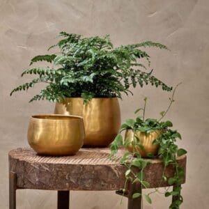 Nkuku Atsu Brass Planter | Vases & Planters | Antique Brass | Small