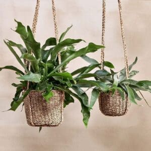 Nkuku Sangdi Seagrass Hanging Planter | Vases & Planters | Natural | Large