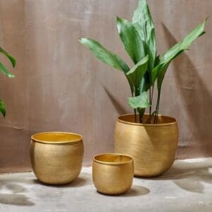 Nkuku Tembesi Etched Planter | Vases & Planters | Antique Brass | Small