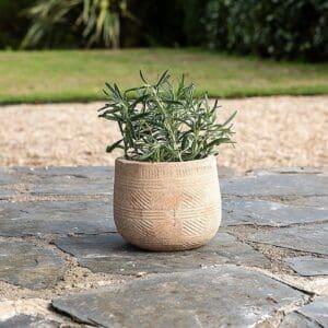 Nkuku Zadie Etched Ceramic Planter | Vases & Planters | Neutral | Small